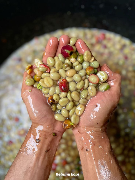 Building Your Sensory Library