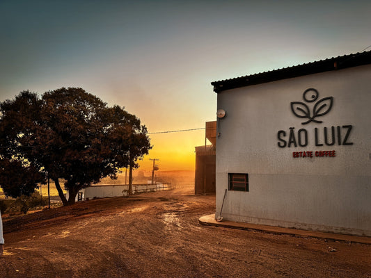 São Luiz Estate Coffee Farm