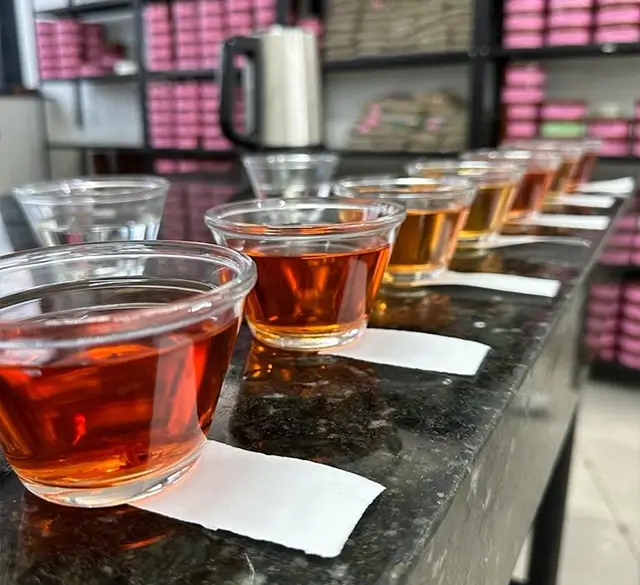 Coffee Pulp Tea Coffee pulp tea – Nuselect